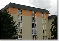 Fir développement : Luce
